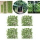 thumbnail image 5 of Cerca de jardín Zulema Valla retráctil 4x Pantalla de privacidad de Hojas, 5 of 7