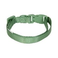thumbnail image 2 of Vibrant Life Polyester Adjustable Collar for Dogs, Sage Green, Small, 2 of 5