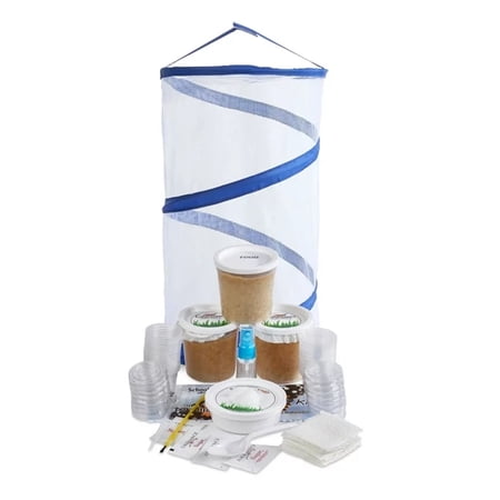 Butterfly Kit with FREE Certificate for 32 Painted Lady Caterpillars - 18” Pop-Up Cage Habitat and Comprehensive Rearing Supplies for Classroom - Educational Experience
