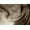 NORMAN GREY, variant on H-Natural Kobe Exotic Cowhide 6'X7'