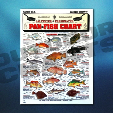 Pan-Fish Identification Chart #7 (Saltwater  Freshwater)