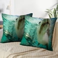 thumbnail image 3 of LALILO Throw Pillow Covers Australian Sea Lion Australia Life Cushion Cover 18" x 18", 2935 Pack, 3 of 6
