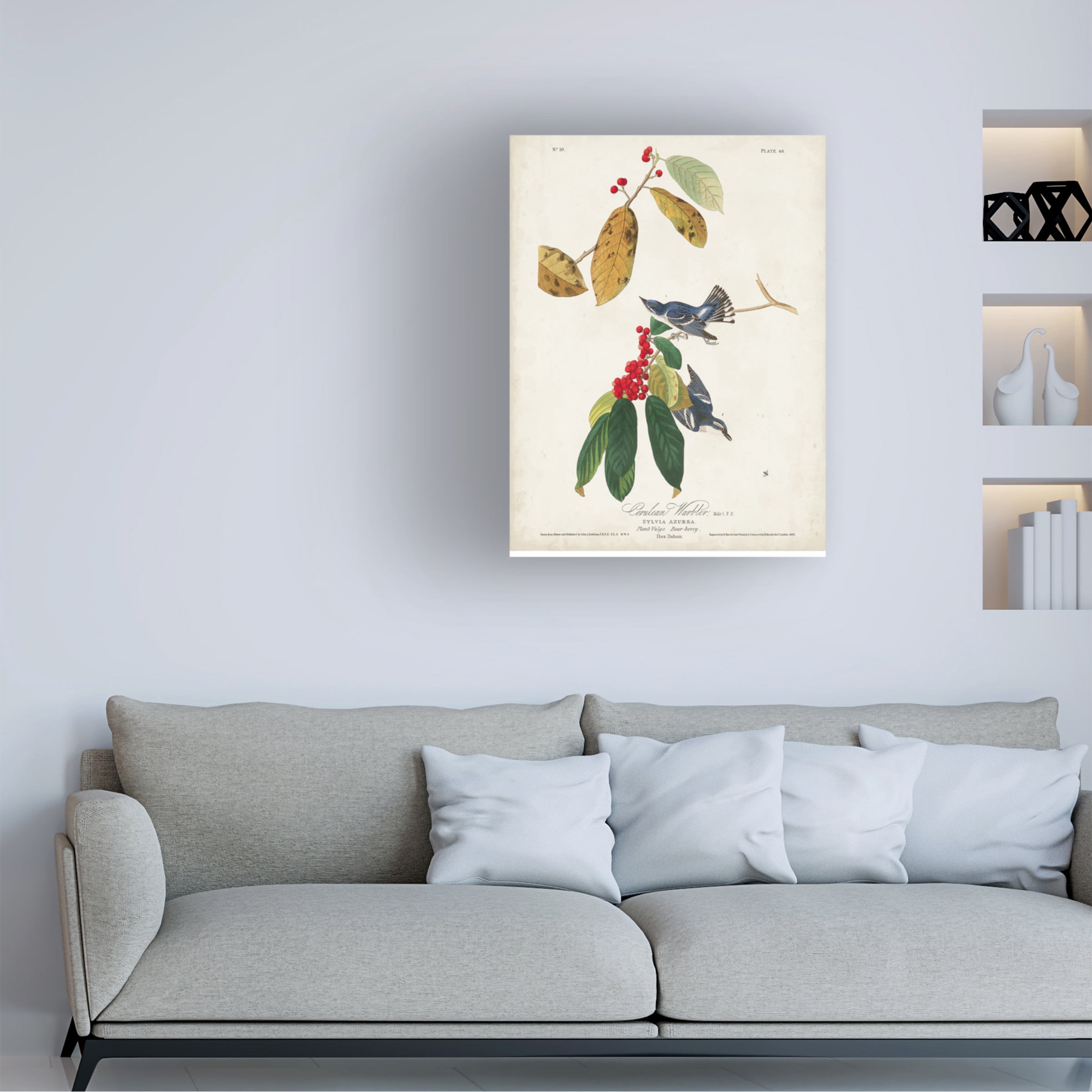 John James Audubon 'Cerulean Warbler' Canvas Art