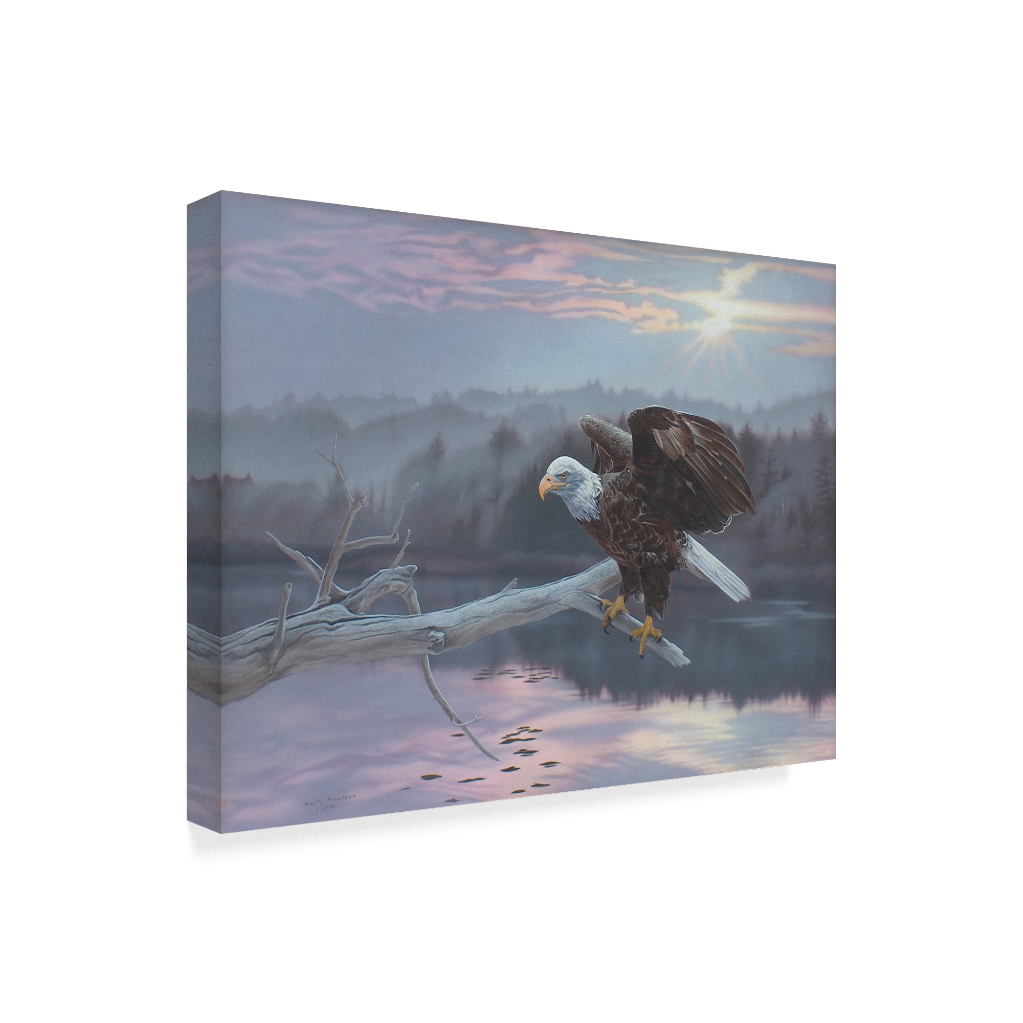 Trademark Fine Art 'The Huron Eagle' Canvas Art by Rusty Frentner