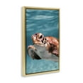 thumbnail image 4 of Stupell Industries Underwater Sea Turtle Swim Animals Photography Gold Floater Framed Canvas Art Print Wall Art, 17 x 25, 4 of 10