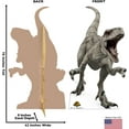 thumbnail image 2 of Cardboard People Ghost Life Size Cardboard Cutout Standup - Jurassic World Dominion (2022 Film), 2 of 4