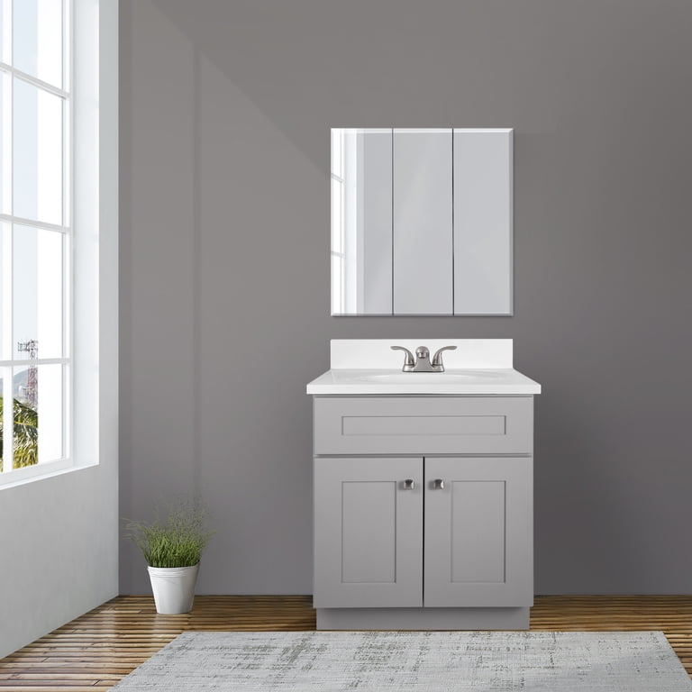 Brookings 25 Inch Bathroom Vanity with Top, Ready to Assemble