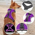 thumbnail image 3 of Arnés LED para perros Vizbrite Light Up, recargable, para perros, 3 of 6