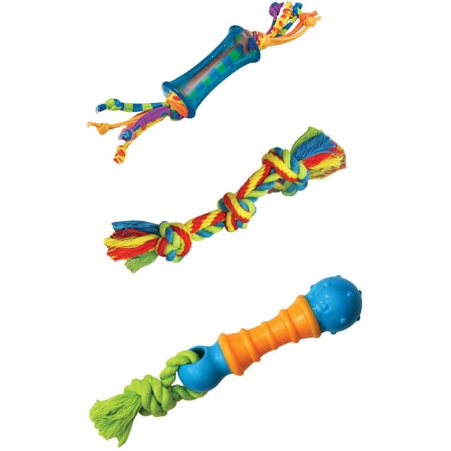 Lot de 3 - Outward Hound Jouet Dentaire à Mâcher pour Chien, Petite