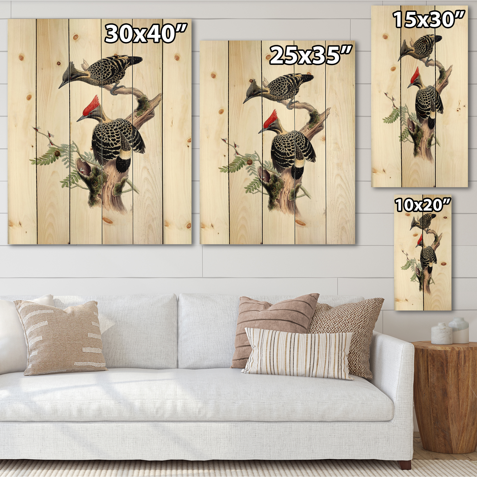 Designart 'Ancient Birds In The Wild VI' Traditional Print on Natural Pine Wood