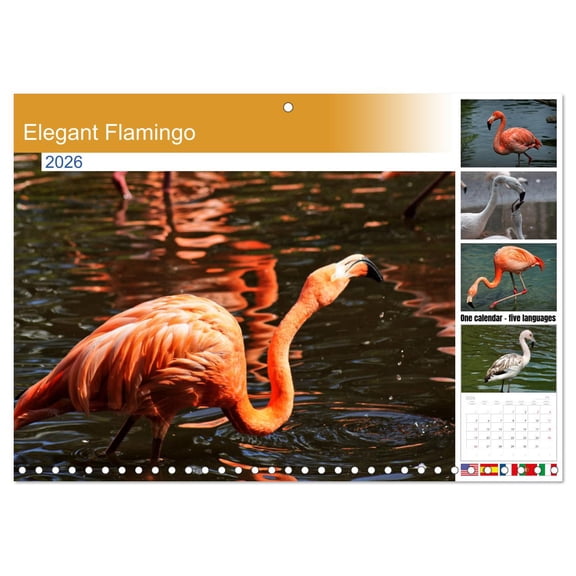Elegant Flamingo (Monthly Wall Calendar 2026 16.5 x 23.4 (open)), CALVENDO 14 Month Calendar