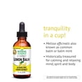 thumbnail image 4 of Botanic Choice Lemon Balm Extract, Traditional Sleep Support, Liquid Dietary Supplement, 1 Fluid Ounce, 4 of 8