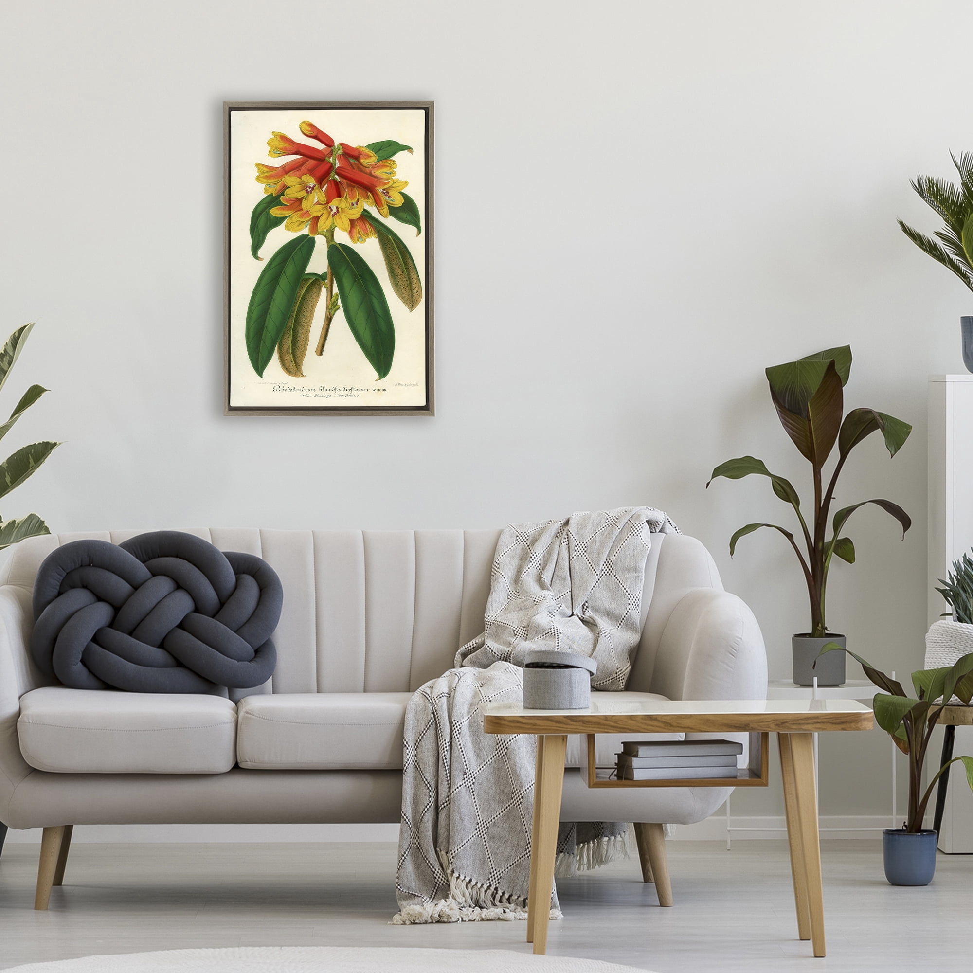 Stupell Industries Orange Yellow Rhododendron Brown Framed Floater Canvas Wall Art, design by Print Collection