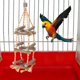 thumbnail image 2 of Columpio de Madera BRILLAR para Pájaros y Mascotas Tres Capas con Cuerda de Algodón, 2 of 5