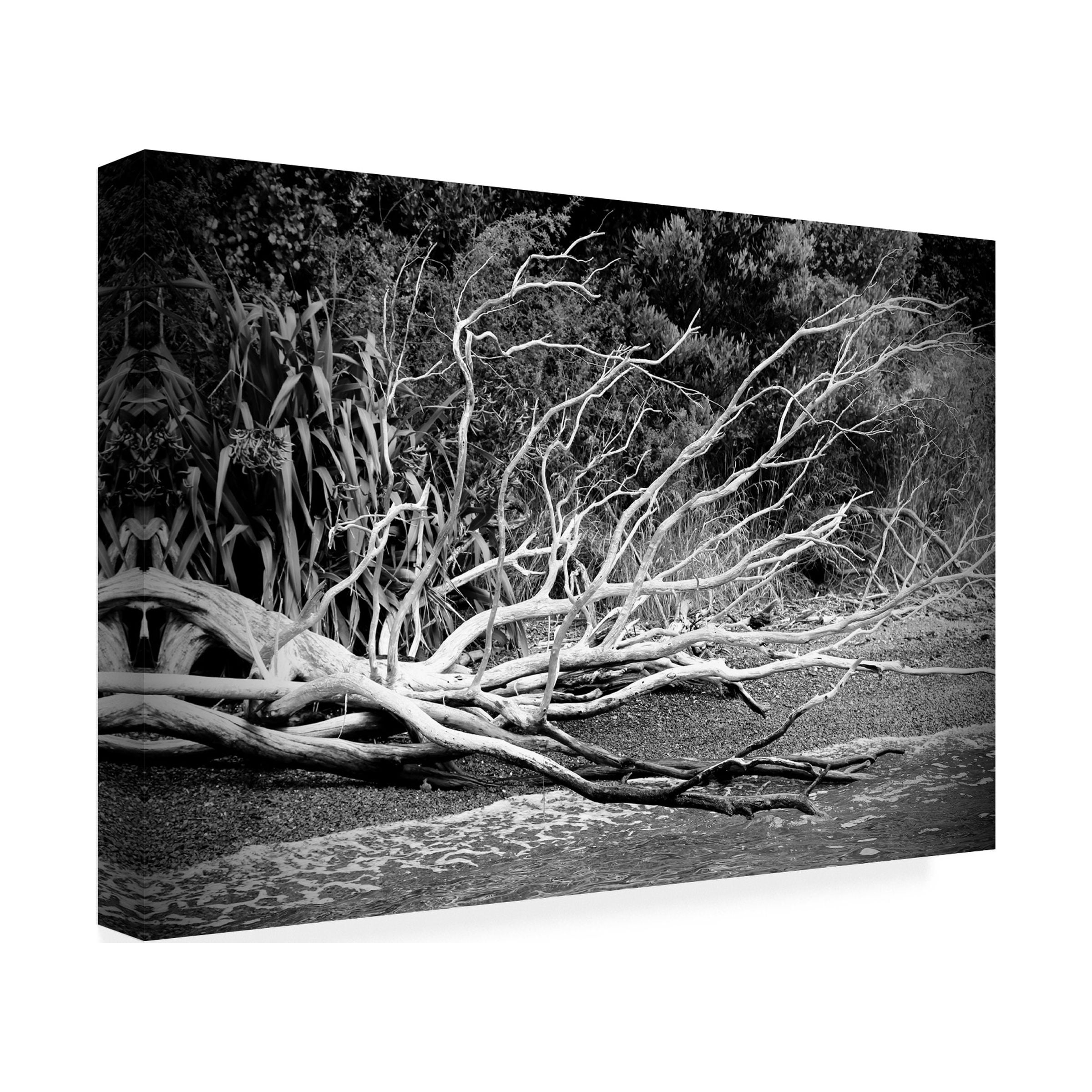 Susan Vizvary Photography 'Branch on The Beach in Black and White' Canvas Art