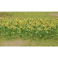 thumbnail image 3 of JTT Scenery Products Sunflowers 1 16 JTT95523 Train Scenery Non Scale, 3 of 3