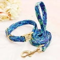 thumbnail image 3 of Didog Personalized Dog Collar and Leash set Pet Name ID Number Engraved Soft Padded Nylon, 3 of 6