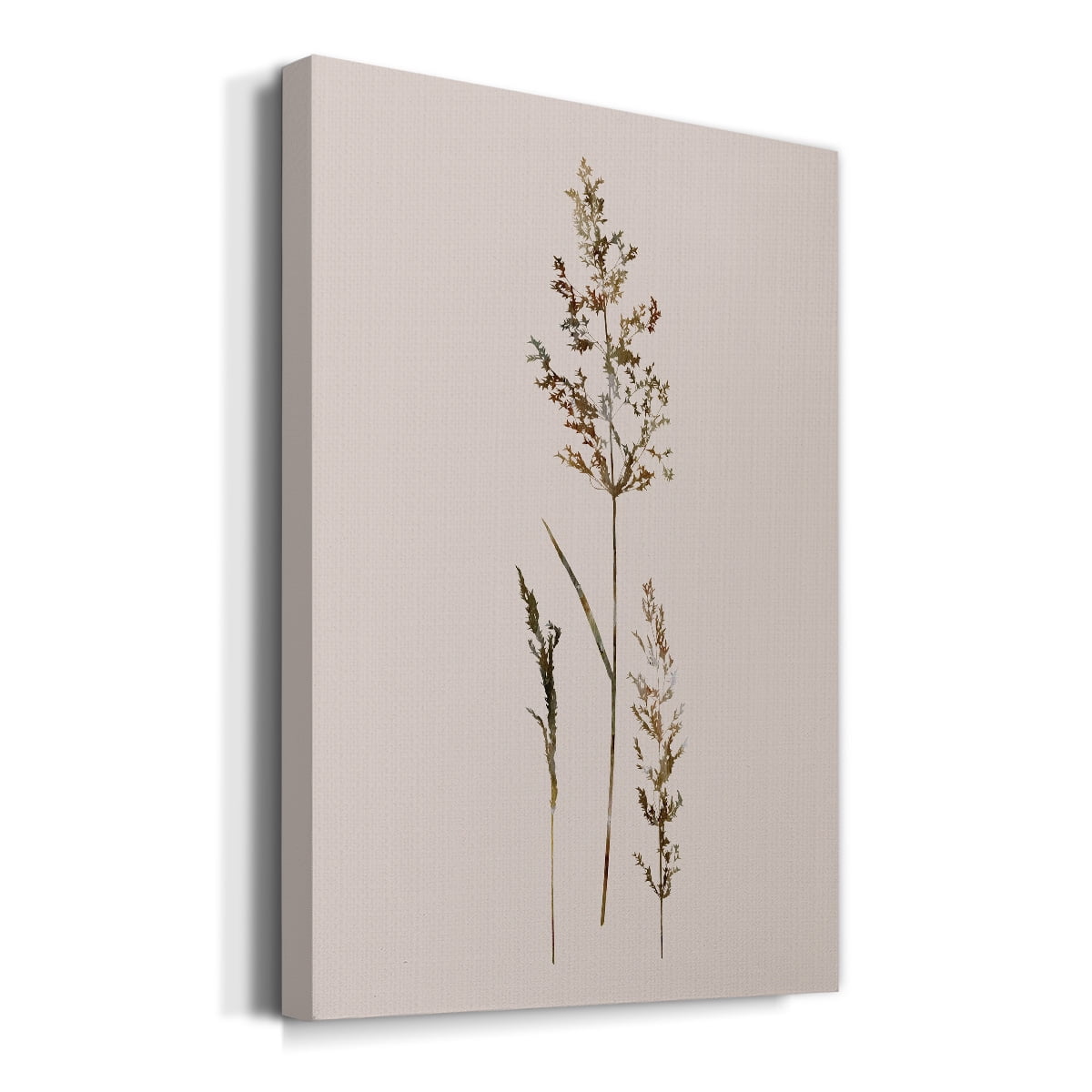 Delicate Stems II Premium Gallery Wrapped Canvas - Ready to Hang