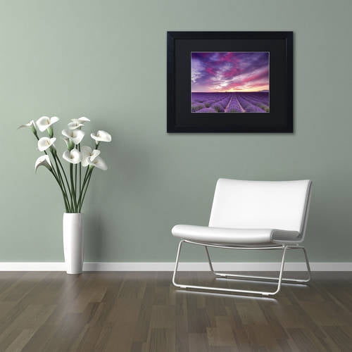 Trademark Fine Art 'Pink and Purple' Canvas Art by Michael Blanchette Photography, Black Matte, Black Frame