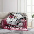 thumbnail image 2 of Arizona Cardinals 66" x 90" City Sketch Blanket, 2 of 2