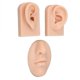 thumbnail image 1 of Modelo de Nariz y Boca 3D Modelo de Oreja de Silicona Simulación Accesorios de Exhibición para Práctica de Sutura de Perforación Color de Piel Medio, 1 of 10
