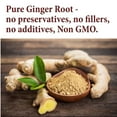 thumbnail image 5 of The Spice Way Ginger Powder - Middle Eastern and Asian Spice Blend – All Natural - Resealable Pouch - 32 Oz., 5 of 8