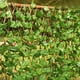 thumbnail image 5 of Labymos Valla extensible para patio, valla de, 5 of 8