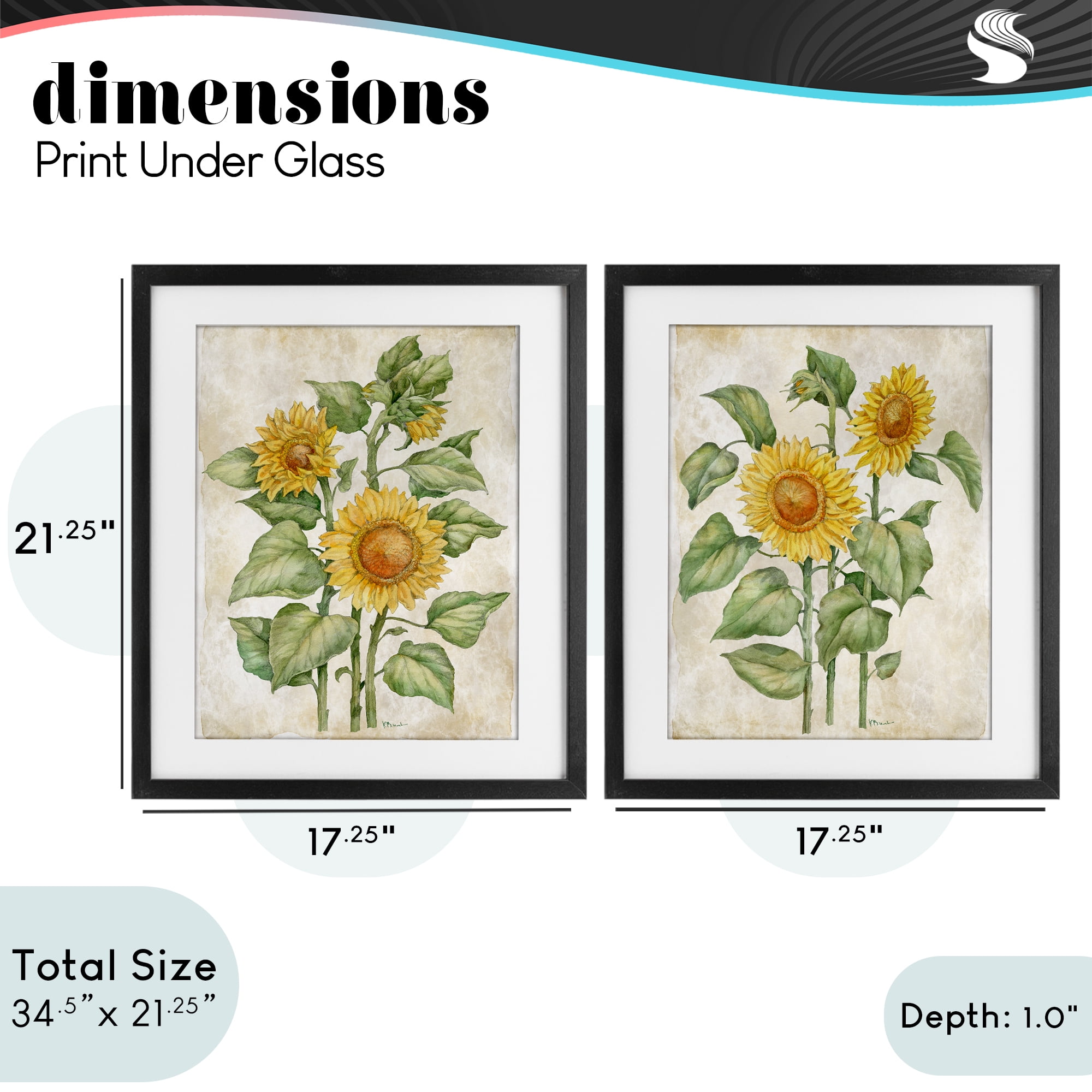 Stupell Industries Floral Journal Sunflower Studies 2 Piece Black Framed Print Under Glass Set, design by Paul Brent