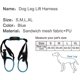 thumbnail image 3 of M- Arnés para patas traseras para perros Arnés de soporte para mascotas Arnés trasero para levantarse Arnés de soporte para patas débiles para perros con artritis Rehabilitación del equilibrio, 3 of 5