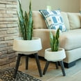 thumbnail image 2 of Flora Bunda 15 Inch & 11.5 Inch Fiberglass Pot on Legs Mid Century,Ivory White,Set of 2, 2 of 5
