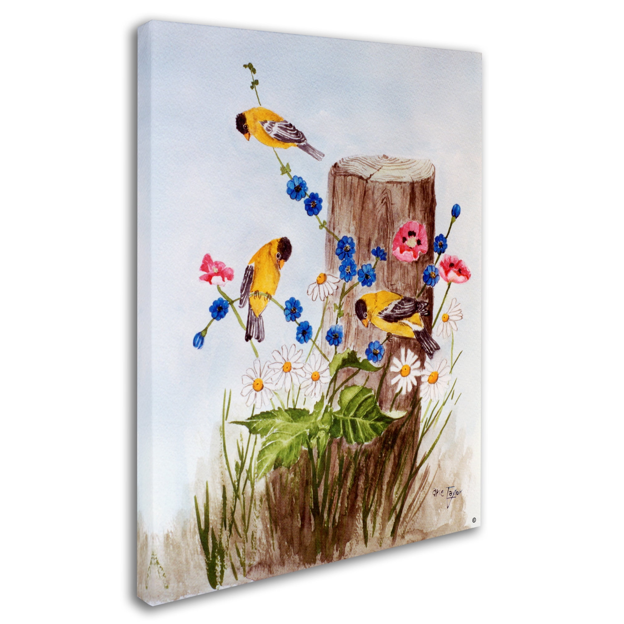 Trademark Fine Art 'American Goldfinch 3' Canvas Art by Arie Reinhardt Taylor