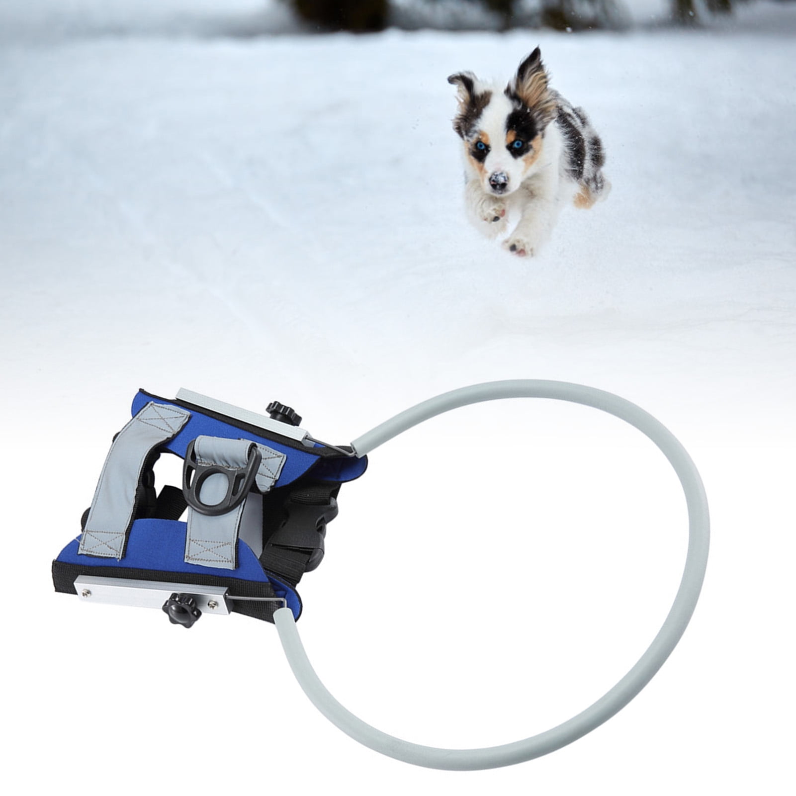 Blind Dog Bumper Collar Harness Blind Pet Halo Reflective Blind Pet Dog Halo Blind Pet Halo Precision Engineered