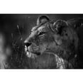 thumbnail image 3 of Forte, Simona 24x17 Black Modern Framed Museum Art Print Titled - Untitled, 3 of 5