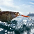 thumbnail image 1 of Destres de Pesca de Gusanos, Cebo de Pesca Conveniente Plásstico ElásTico Realista Para Al Aire Libre, 1 of 7