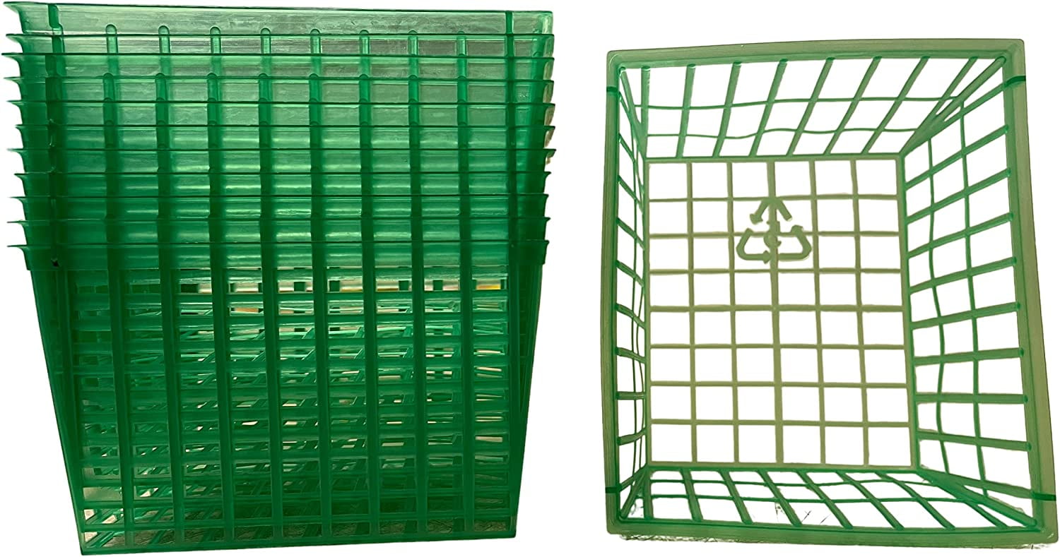 Plastic Berry Baskets Pint Size for Crafts Gifts Summer Picking and