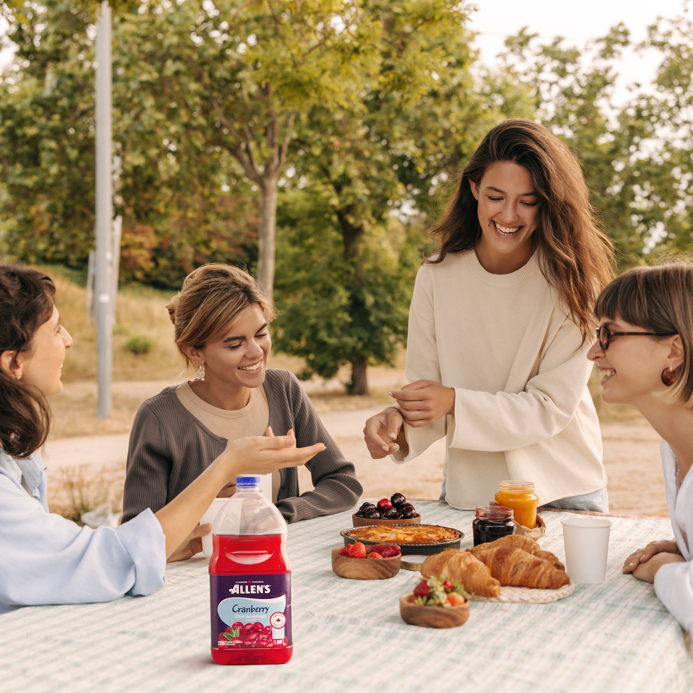 Allen's Cranberry Diet Beverage 1.89L