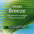 thumbnail image 3 of Suave Essentials Ocean Breeze Moisturizing Shampoo, 30 oz, 3 of 10