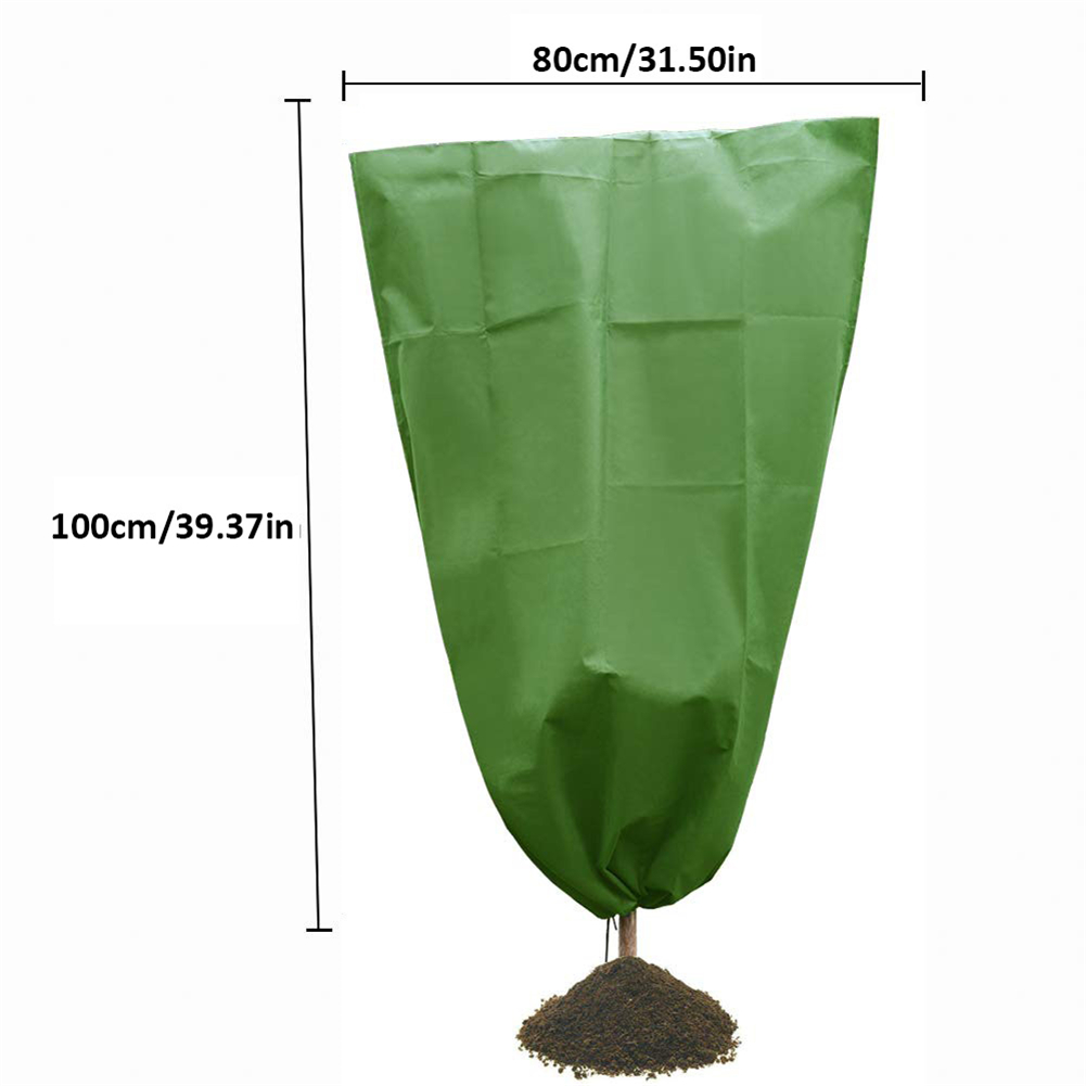 Plant Cover, Frost Covered Plant Covered Garden Plant Covered Winter