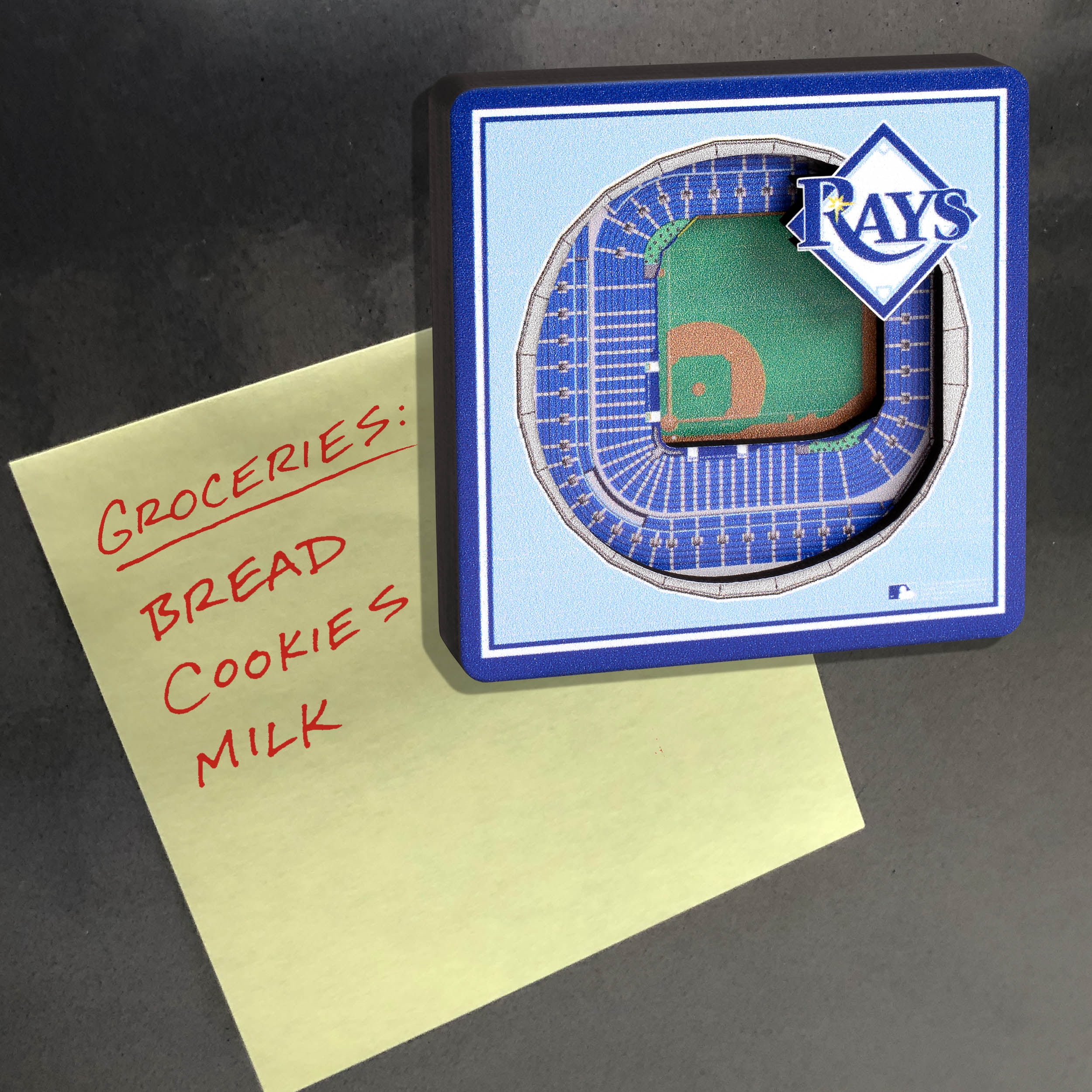 Tampa Bay Rays Stadium View Magnet