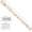 Beige-logo, variant on Soprano Recorder 8-Hole Instrument for Kids Beginners, Baroque Style C Key Kids Flute with Cleaning Rod & Case Bag for School Education Home Entertainment - Deep Green