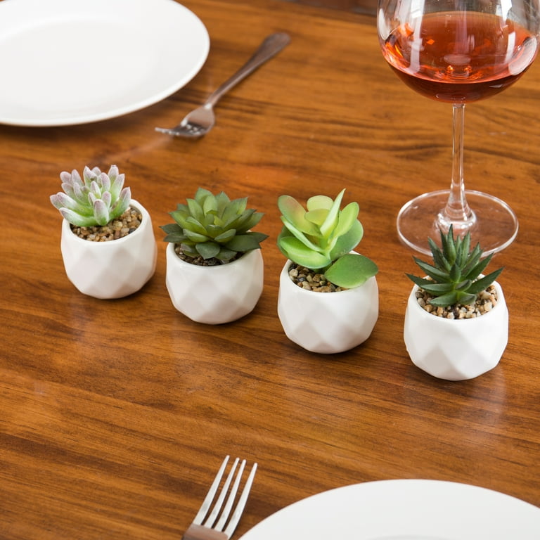 Mini Artificial Succulent Plants in Geometric Plant Pots – MyGift