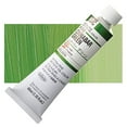 thumbnail image 1 of Holbein Artist Oil Colors cinnabar green 40 ml, 1 of 1