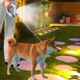 thumbnail image 4 of Automatic Retractable Dog Leash with Secure Escape Lock System Extendable for Small Medium Breed, 4 of 5