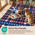 thumbnail image 4 of Design&I 4'x6' Washable Area Rug Stripes Welcome Tartan Plaid Door Striped Doormat Patriotic Stars Refined for Reading Nook, Bedroom, Pet Friendly & Non-Slip Built-In Grip, 4 of 7