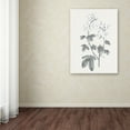 thumbnail image 3 of Trademark Fine Art 'Neutral Botanical III' Canvas Art by Wild Apple Portfolio, 3 of 3
