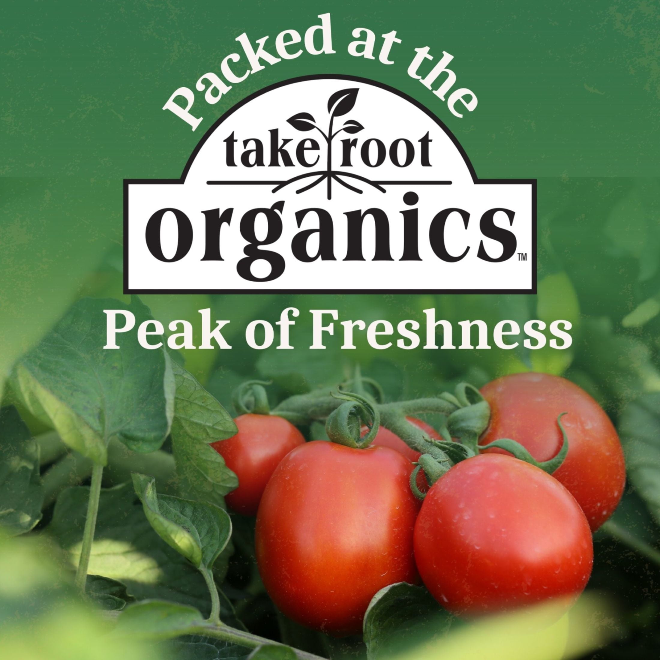 (5 pack) Take Root Organics Tomato Paste, 6 oz Can