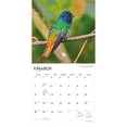 thumbnail image 3 of Hummingbirds | 2027 12x24" (Hanging) Wall Calendar | Plastic-Free | BrownTrout, 3 of 9