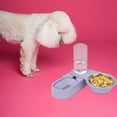 thumbnail image 4 of Pretyzoom Small Bowl with Upper and Lower Split Design, Plastic Pet Feeding Dish for Small Dogs, 4 of 4