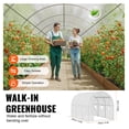 thumbnail image 5 of Walk-in Greenhouse Tunnel, 9.6x6.4x6.2ft Hoop House, Galvanized Steel Frame, PE Cover, Roll-up Door & 6 Windows - Outdoor Plant Protector, 5 of 7