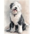 thumbnail image 1 of Qisvanset Fluffy Pet Dog Canvas Print 12x16 Inch Farmhouse Decor, 1 of 8